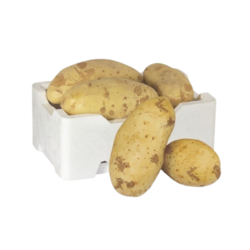 بطاطا فلين وسط